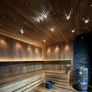 Bathology Dimmable 2" LED Sauna Spotlight Kits | Spectrum 441D Bathology