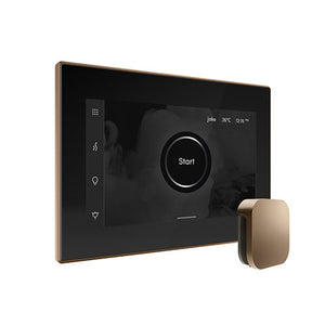 Mr. Steam iSteamX Steam Shower Control and Aroma Glass SteamHead