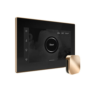 Mr. Steam iSteamX Steam Shower Control and Aroma Glass SteamHead
