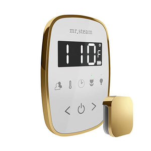 Mr.Steam TempoFlex Steam Shower Control