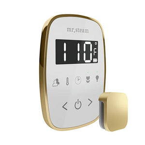 Mr.Steam TempoFlex Steam Shower Control