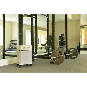Austin Air HealthMate Plus Premium HEPA Air Purifier - Fitness Recovery Lab