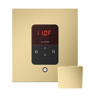 Mr.Steam iTempo Digital 60-Minute Steam Shower Control