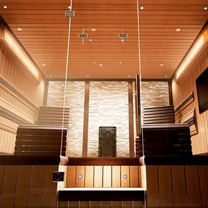 Bathology Dimmable 2" LED Sauna Spotlight Kits | Spectrum 441D Bathology