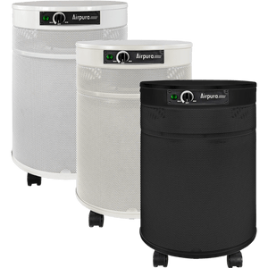 Airpura C600 Air Purifier for Chemical & Gas Abatement - Fitness Recovery Lab