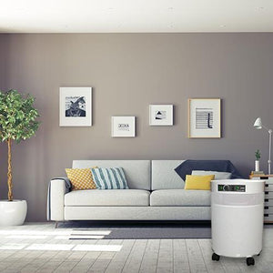 Airpura C600 DLX Air Purifier for VOCs & Gas Abatement - Fitness Recovery Lab