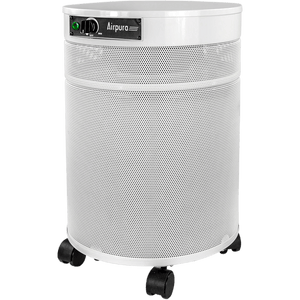 Airpura I600 Air Purifier for Dust & Seasonal Allergies - Fitness Recovery Lab