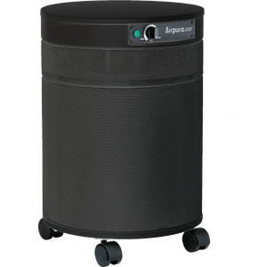 Airpura I600 Air Purifier for Dust & Seasonal Allergies - Fitness Recovery Lab