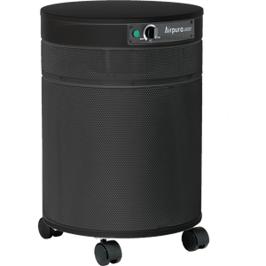 Airpura R600 All-Purpose Air Purifier For Home - Fitness Recovery Lab