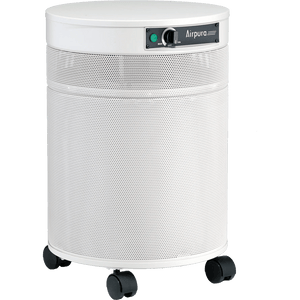 Airpura V600 Home Air Purifier for Volatile Organic Compounds - Fitness Recovery Lab