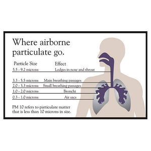 Austin Air HealthMate Plus Premium HEPA Air Purifier - Fitness Recovery Lab