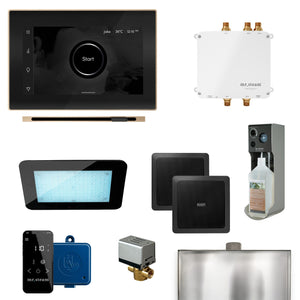 Mr. Steam Bliss Steam Shower Control Package with iSteamX - Fitness Recovery Lab