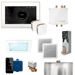 Mr. Steam Bliss Steam Shower Control Package with iSteamX - Fitness Recovery Lab