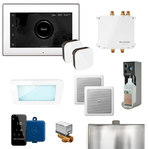 Mr. Steam Bliss Steam Shower Control Package with iSteamX - Fitness Recovery Lab