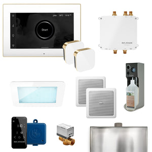 Mr. Steam Bliss Steam Shower Control Package with iSteamX - Fitness Recovery Lab