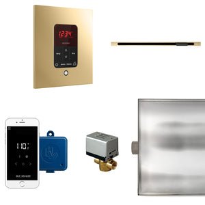 Mr. Steam Butler Steam Shower Control Package with iTempoPlus - Fitness Recovery Lab