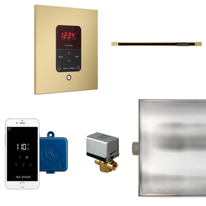 Mr. Steam Butler Steam Shower Control Package with iTempoPlus - Fitness Recovery Lab