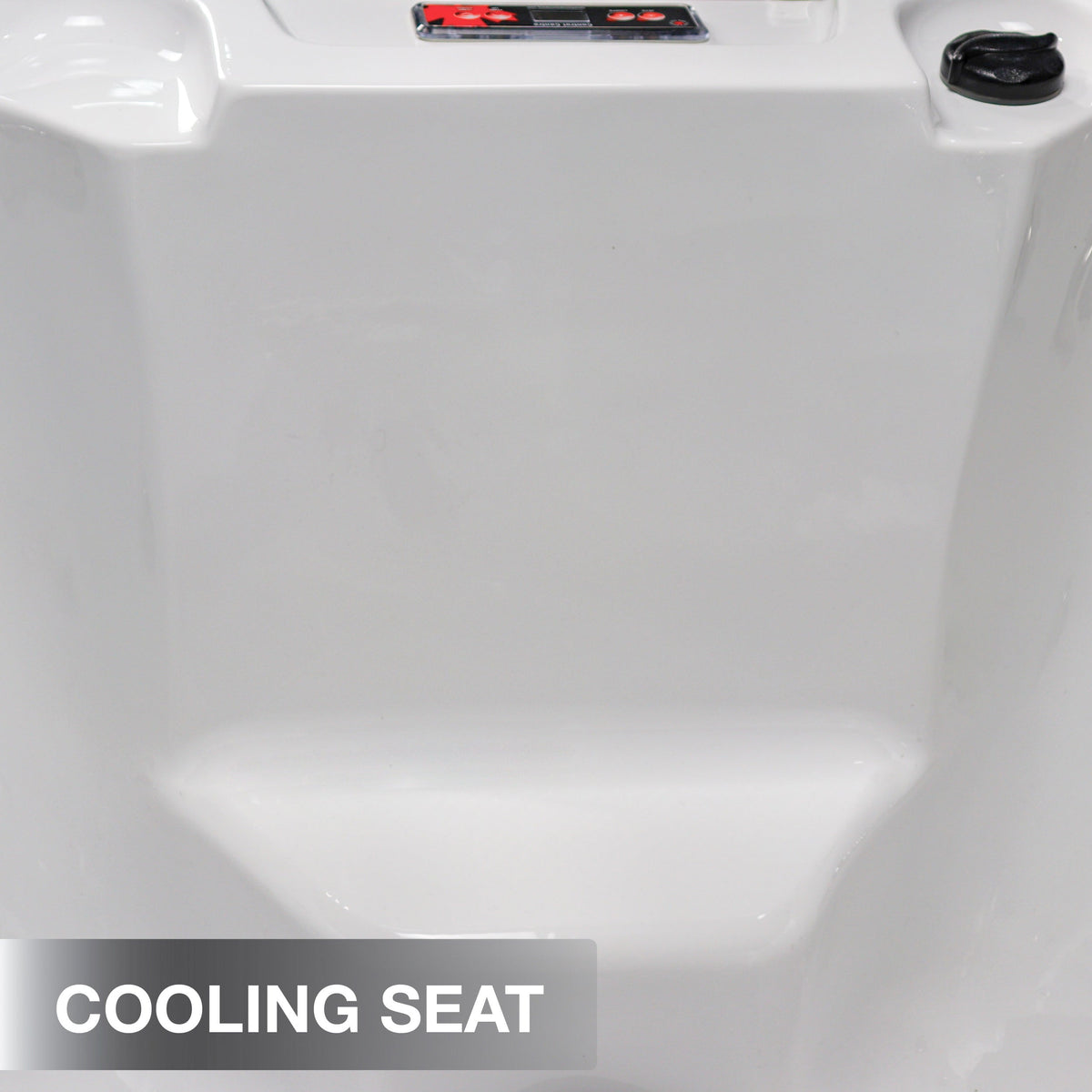 Canadian Spa Gander 2-4 Person Luxury Hot Tub - Fitness Recovery Lab