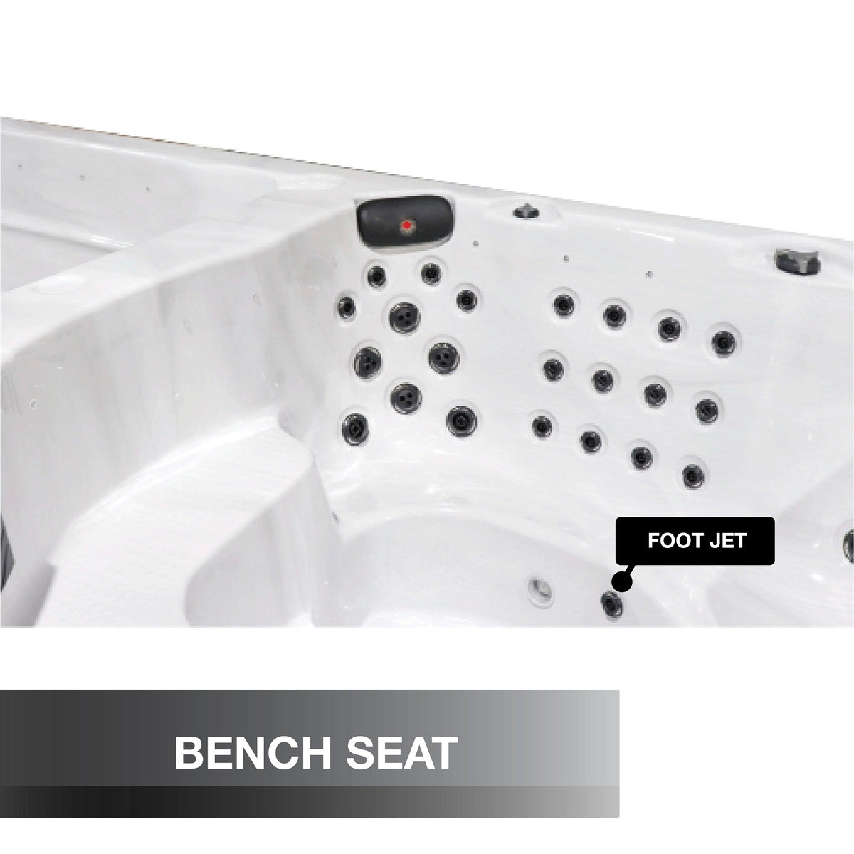 Canadian Spa St. Lawrence 20ft 17-Person Luxury Swim Spa - Fitness Recovery Lab