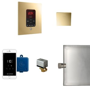 Mr. Steam Butler Steam Shower Control Package with iTempoPlus - Fitness Recovery Lab