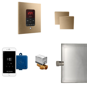Mr. Steam Butler Steam Shower Control Package with iTempoPlus - Fitness Recovery Lab