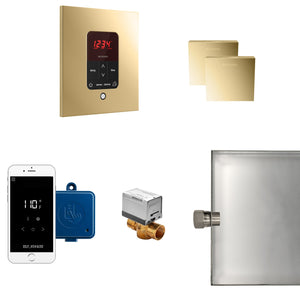 Mr. Steam Butler Steam Shower Control Package with iTempoPlus - Fitness Recovery Lab