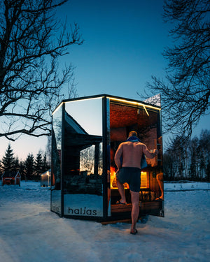 Haljas Hele Glass Premium Designer Sauna - Single Standard