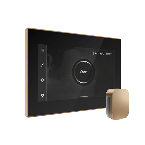 Mr. Steam iSteamX Steam Shower Control and Aroma Glass SteamHead