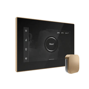 Mr. Steam iSteamX Steam Shower Control and Aroma Glass SteamHead