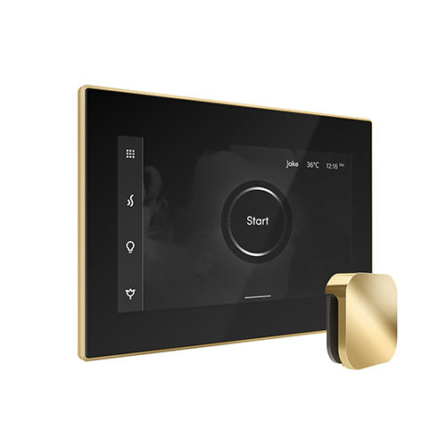Mr. Steam iSteamX Steam Shower Control and Aroma Glass SteamHead