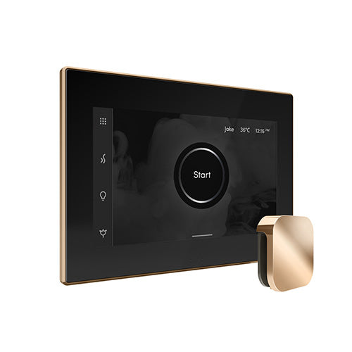Mr. Steam iSteamX Steam Shower Control and Aroma Glass SteamHead