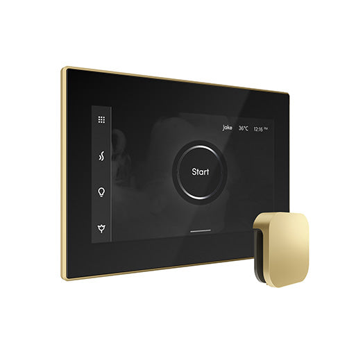 Mr. Steam iSteamX Steam Shower Control and Aroma Glass SteamHead
