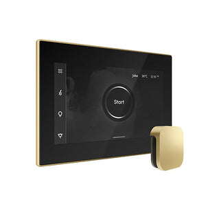 Mr. Steam iSteamX Steam Shower Control and Aroma Glass SteamHead