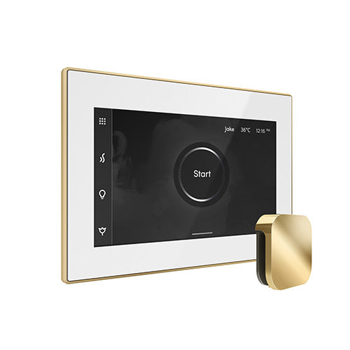 Mr. Steam iSteamX Steam Shower Control and Aroma Glass SteamHead