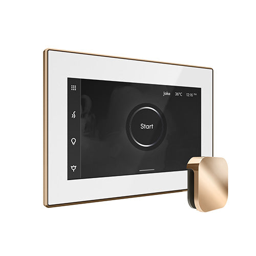 Mr. Steam iSteamX Steam Shower Control and Aroma Glass SteamHead