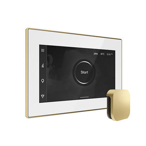 Mr. Steam iSteamX Steam Shower Control and Aroma Glass SteamHead