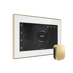 Mr. Steam iSteamX Steam Shower Control and Aroma Glass SteamHead