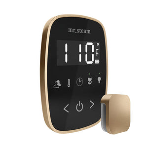 Mr.Steam TempoFlex Steam Shower Control