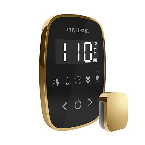 Mr.Steam TempoFlex Steam Shower Control