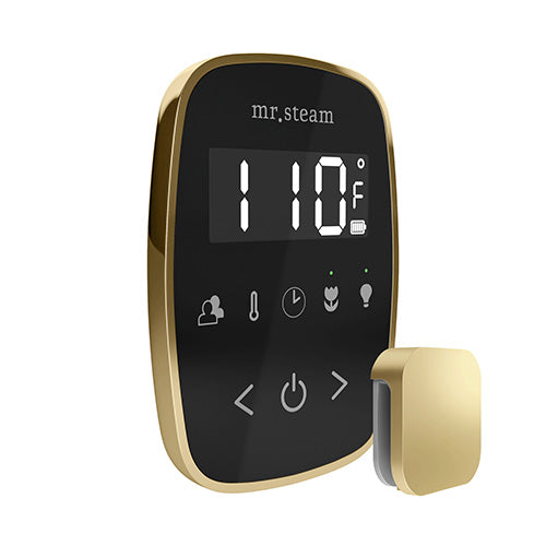 Mr.Steam TempoFlex Steam Shower Control