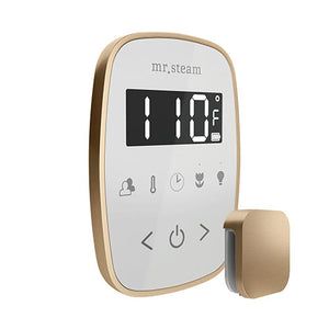 Mr.Steam TempoFlex Steam Shower Control