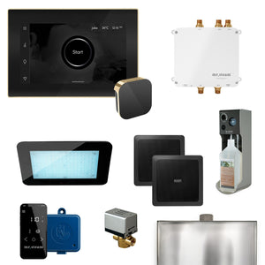 Mr. Steam Bliss Steam Shower Control Package with iSteamX - Fitness Recovery Lab