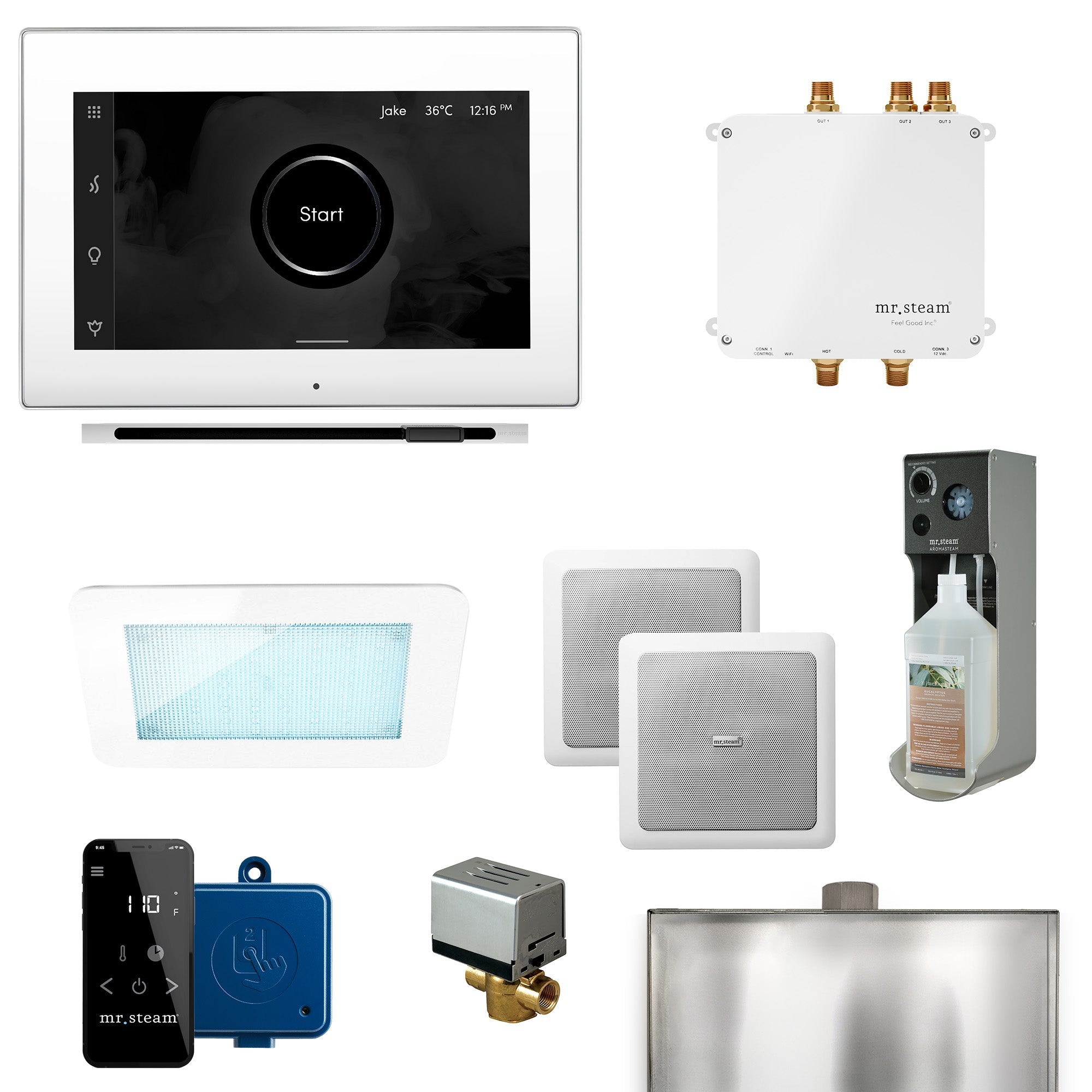 Mr. Steam Bliss Steam Shower Control Package with iSteamX - Fitness Recovery Lab