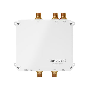 Mr. Steam SPAH2O Electronic Shower Valve - Fitness Recovery Lab