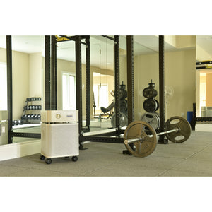 Austin Air Bedroom Machine Premium HEPA Air Purifier For Home, Office & Gym