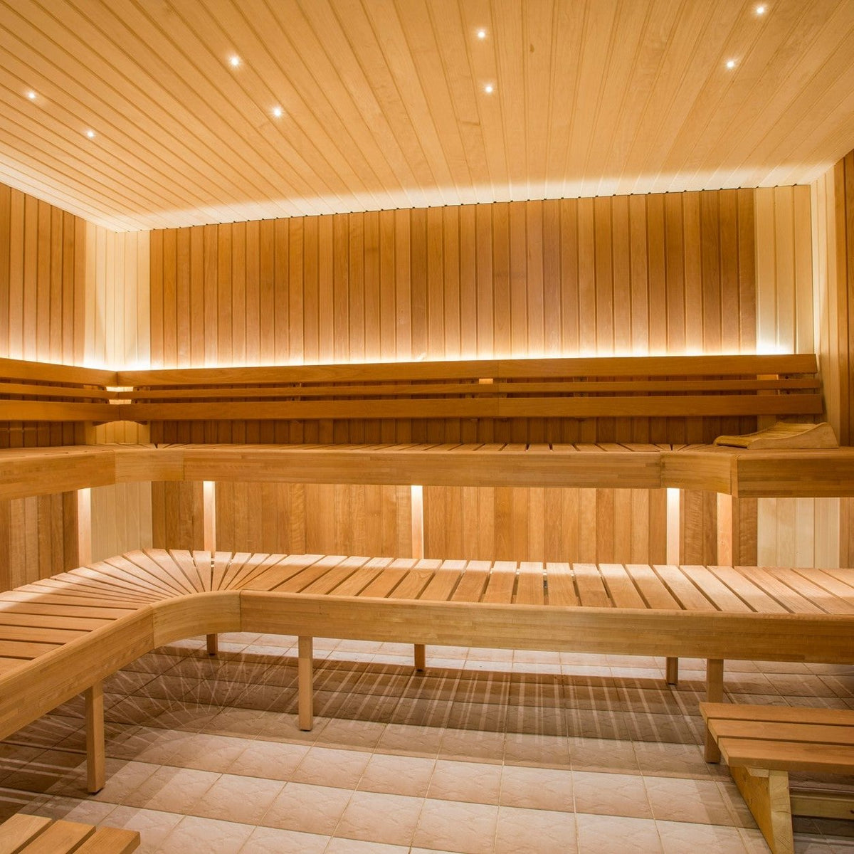 Bathology Dimmable 2&quot; LED Sauna Spotlight Kits | Spectrum 441D