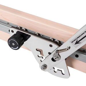 Elina Pilates Physio Reformer Master Instructor with Tower - Fitness Recovery Lab