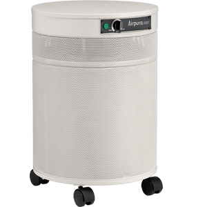 Airpura C600 Air Purifier for Chemical & Gas Abatement - Fitness Recovery Lab