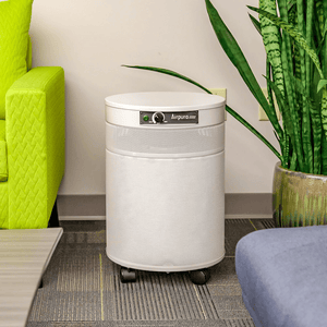 Airpura G600 Odor-Free Air Purifier for Chemically Sensitive