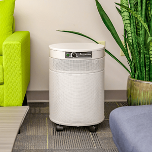 Airpura I600 Air Purifier for Dust & Seasonal Allergies